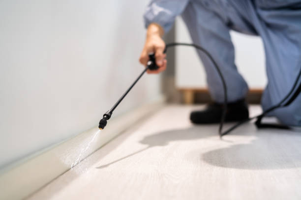 Certified termite inspector examining foundation in Dayton